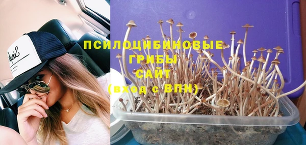 ешки Баксан