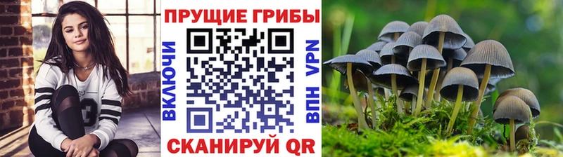 Галлюциногенные грибы MAGIC MUSHROOMS  цены наркотик  kraken как зайти  Зима 